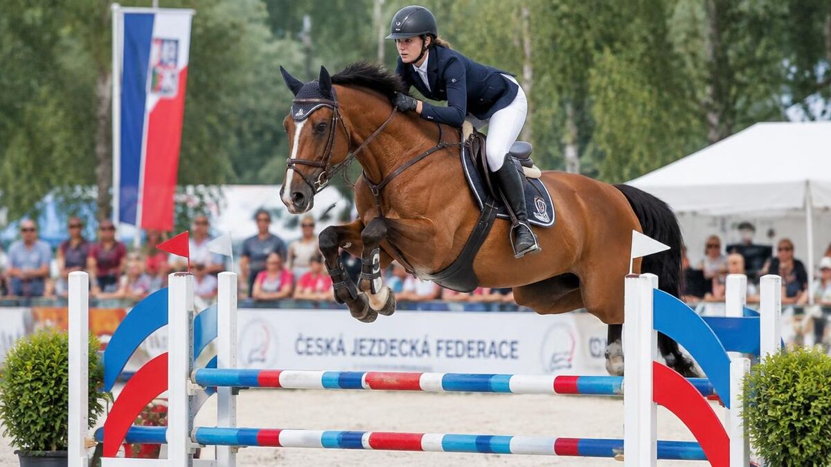 Interessante Reitsportveranstaltungen der Saison 2026: ein praktischer Wegweiser für Tschechien